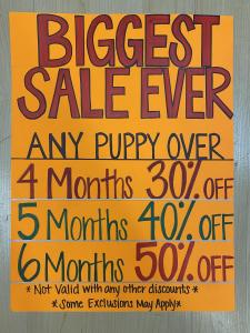 DISCOUNT APPLIES TO ORIGINAL PRICE OF PUPPY